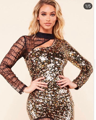 Holiday Dress